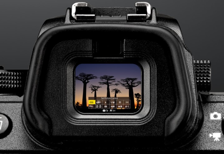 Optical Viewfinder & LCD